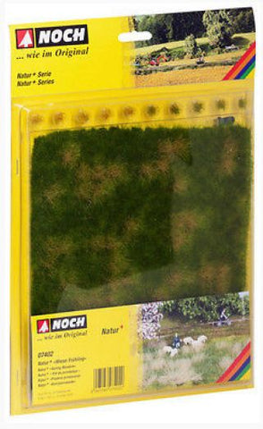 Natur - Noch - NH07402