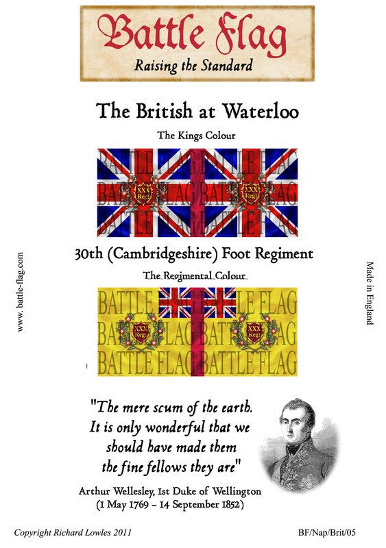 Battle Flag - 30th (Cambridgeshire) Foot (Napoleonic War) - 28mm