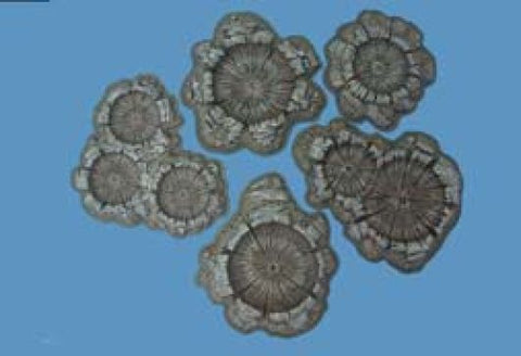Painted shell/bomb craters - 28mm - Pegasus - 5215