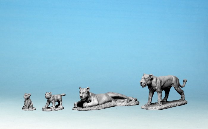 AA24 - Lioness and Cub