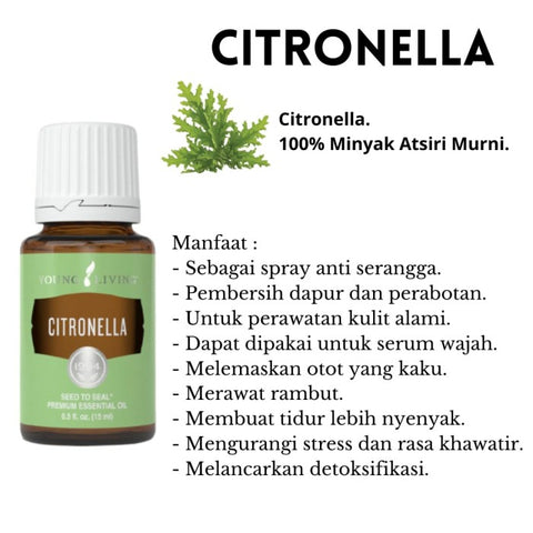 Oli Essenziali YOUNG LIVING - Citronella (Citronella) - 5ml - 32159