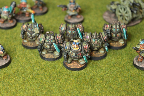 Squat warlord ex armour (x5) - 6mm - Epic