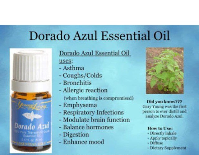 Oli Essenziali YOUNG LIVING - Blu dorato (Dorado azul) - 5ml - 33094