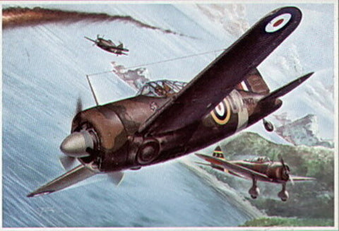 Bufallo model 339B/C Dutch & japan - 1:32 - Special Hobby - 32043