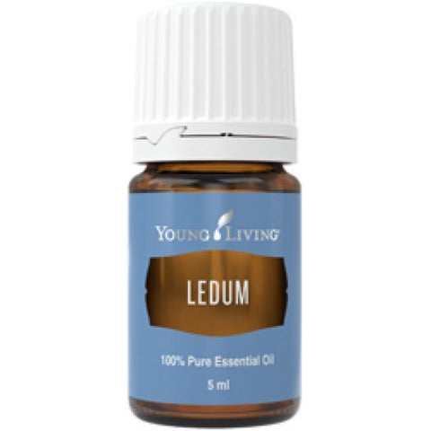 Oli Essenziali YOUNG LIVING - Ledum - 5ml - 33322