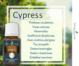 Oli Essenziali YOUNG LIVING - Cipresso (Cypress) - 15ml - 32019