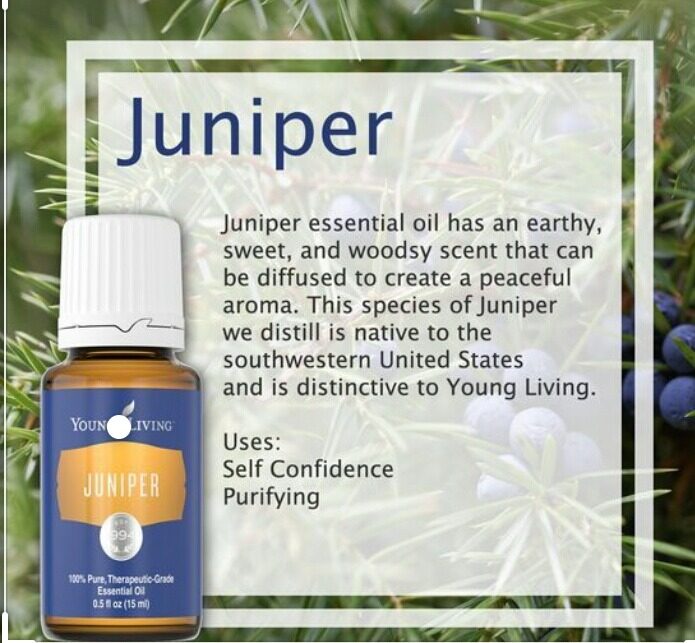 Oli Essenziali YOUNG LIVING - Ginepro (Juniper) - 15ml - 33278