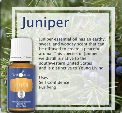 Oli Essenziali YOUNG LIVING - Ginepro (Juniper) - 15ml - 33278