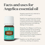 Oli Essenziali YOUNG LIVING - Angelica - 5ml - 36877