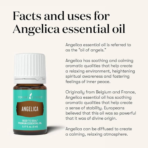 Oli Essenziali YOUNG LIVING - Angelica - 5ml - 36877
