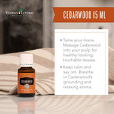 Oli Essenziali YOUNG LIVING - Cedro (Cedarwood) - 15ml - 31998