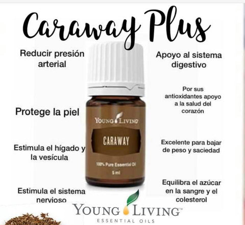 Oli Essenziali YOUNG LIVING - Cumino (Caraway) - 5ml - 33043