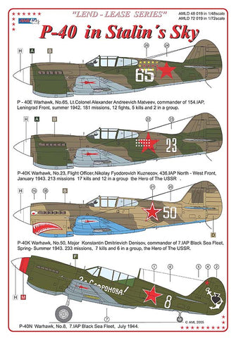 Curtiss P-40s - 1:48 - AML - 48019