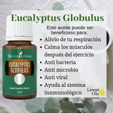 Oli Essenziali YOUNG LIVING - Eucalipto (Eucalyptus Globulus) - 15ml - 32028