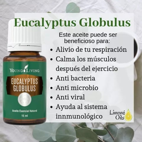 Oli Essenziali YOUNG LIVING - Eucalipto (Eucalyptus Globulus) - 15ml - 32028