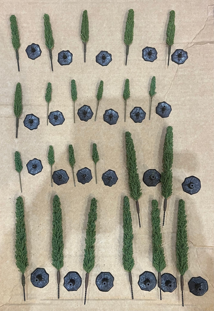 Trees Mixed Poplars x 24with bases - K&M - POP001