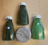Scenic Terrain - SET 1 - WWS