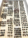 Saxon Army - Dark Age - 10mm - GOOD PAINTED