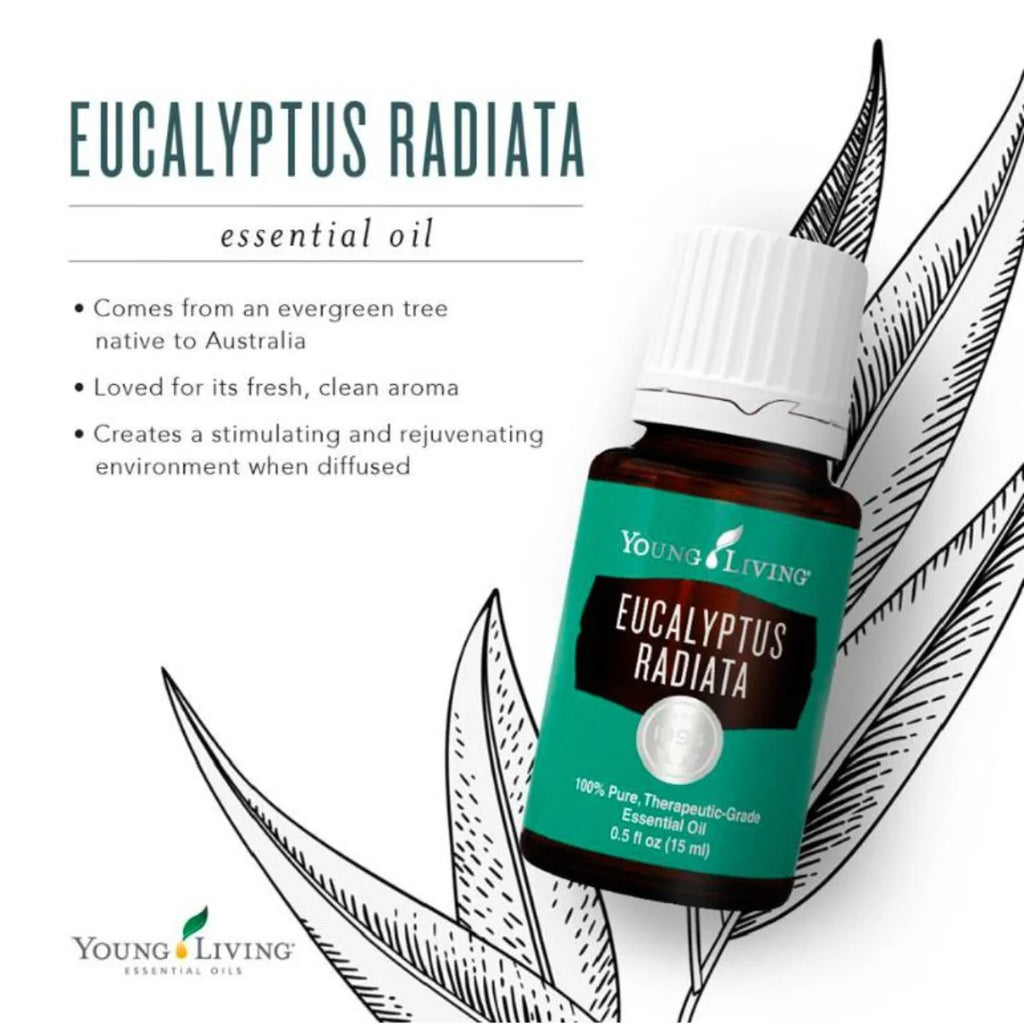 Oli Essenziali YOUNG LIVING - Eucalipto (Eucalyptus Radiata) - 15ml - 33274