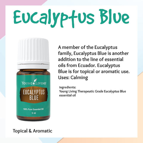 Oli Essenziali YOUNG LIVING - Eucalipto Blu (Eucalyptus Blue) - 5ml - 33100
