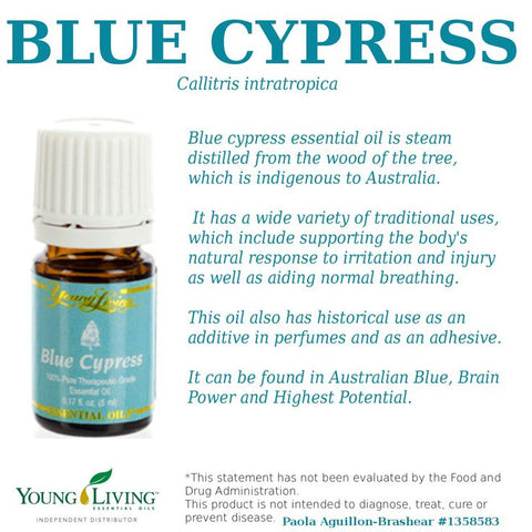 Oli Essenziali YOUNG LIVING - Cipresso Blu (Blue Cypress) - 5ml - 39080