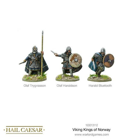 Vikings kings of Norway - 28mm -  Hail Caesar - 103013112