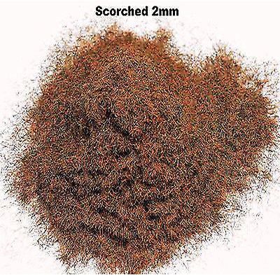 WWS - Static grass - Scorched grass (100g.) - 2mm