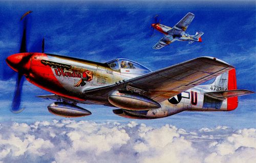 Tamiya 60322 - North-American P-51D - 1:32