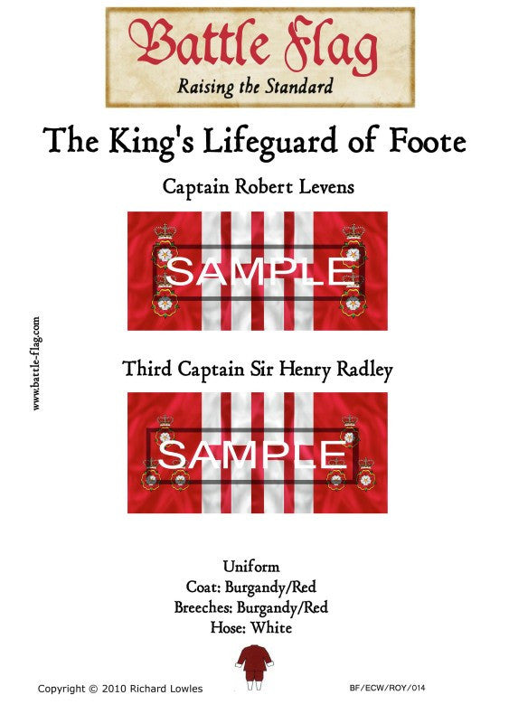 Battle Flag - (3) Second Captain Robert Levens Third Captain Sir henry Radley (English Civil War) - 28mm