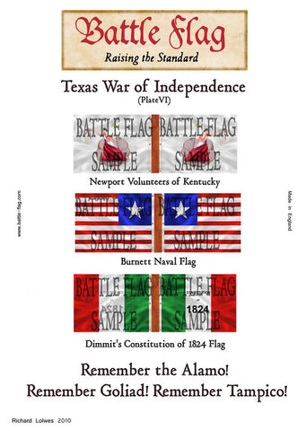 Battle Flag - Texas War of Independence Plate VI (Texas War of Independence) - 28mm