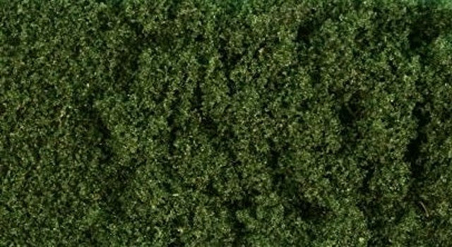 WWS - Dark green foliage - (30g.)