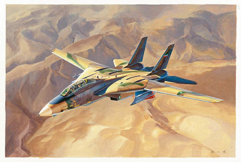 Grumman F-14A Tomcat Tomcat IRIAF (Iranian AF) - 1:48 - Hobby Boss - 81771