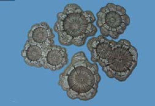Pegasus - 5215 - Painted shell/bomb craters - 28mm