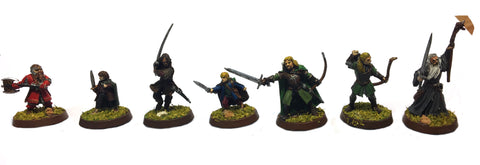 The Fellowship of the Ring - 28mm (PAINTED)